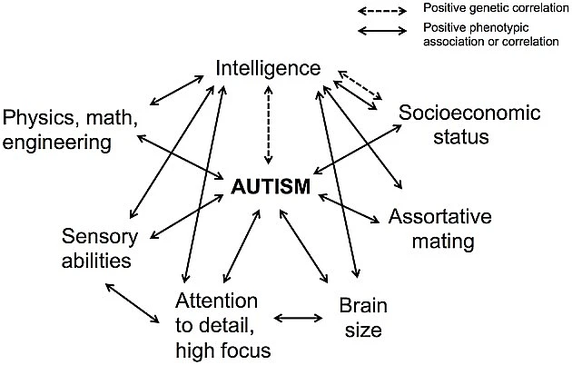 Pictorial correlation between autism and intelligence