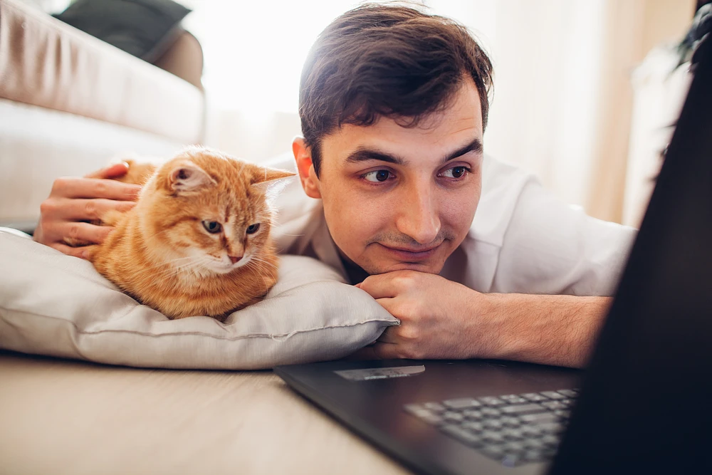 Programmer spending time with his cat Programmer spending time with his cat
