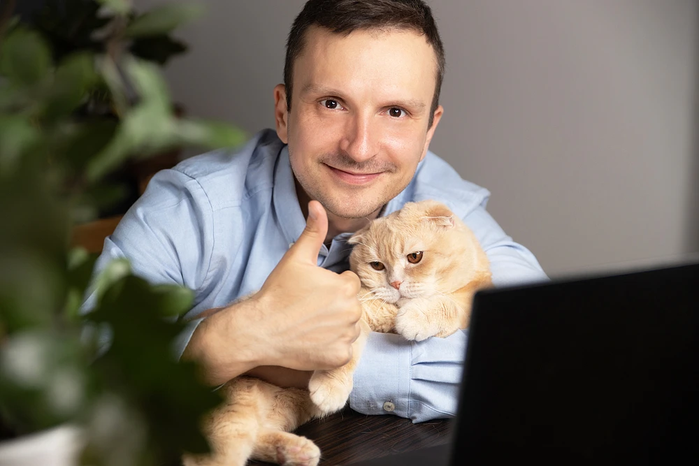 Why Do Programmers Like Cats? (8 Major Reasons)