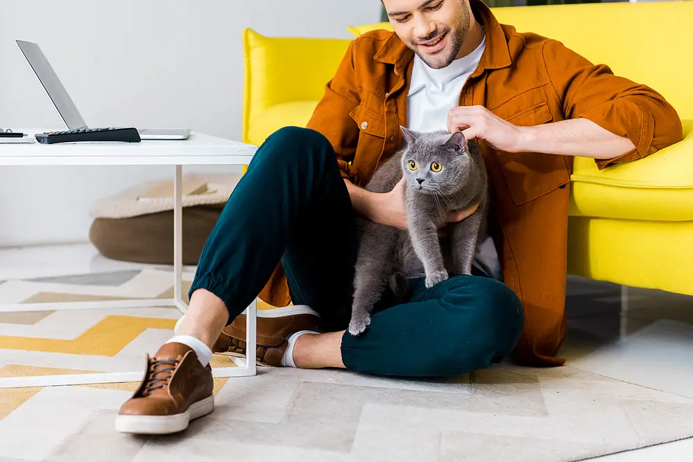 Software engineer and his cat Software engineer and his cat