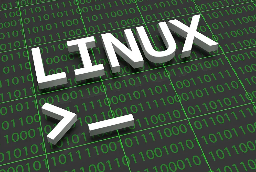 Do programmers need to know Linux? (Let’s find out)