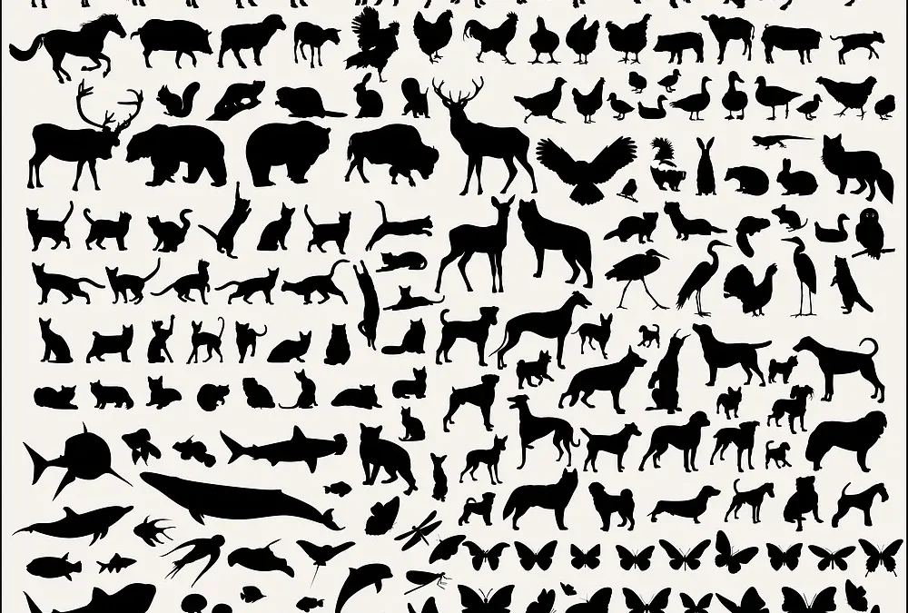 Why Do Programming Books Have Animals on the Cover?