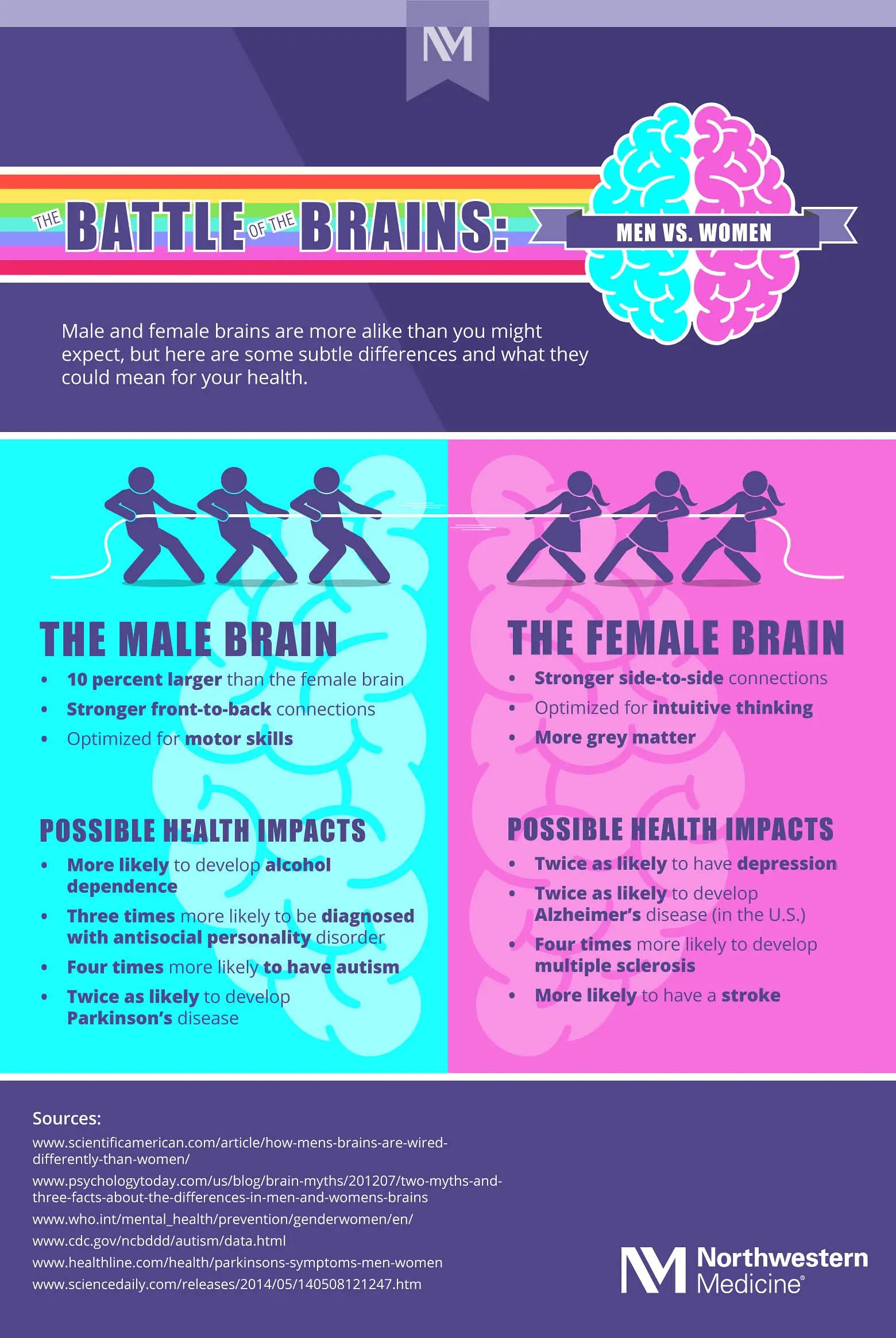 The male vs Female Brain