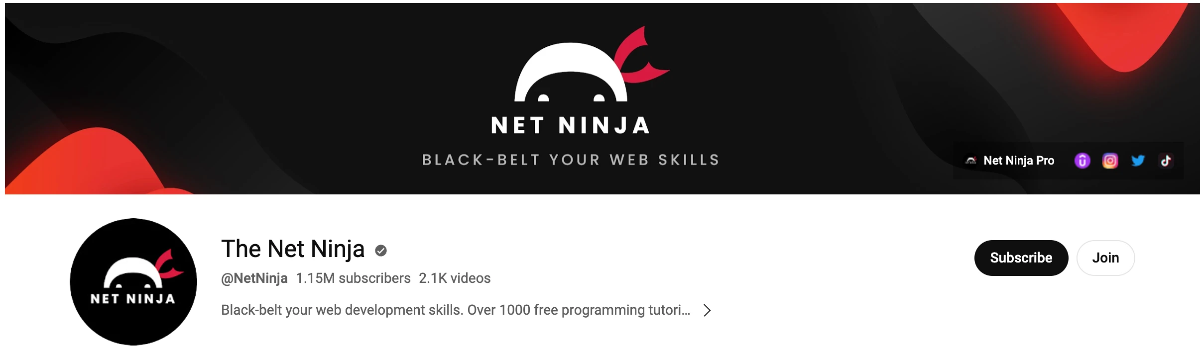 The Net Ninja: List of Best Web Design and Web Development Youtube Channels