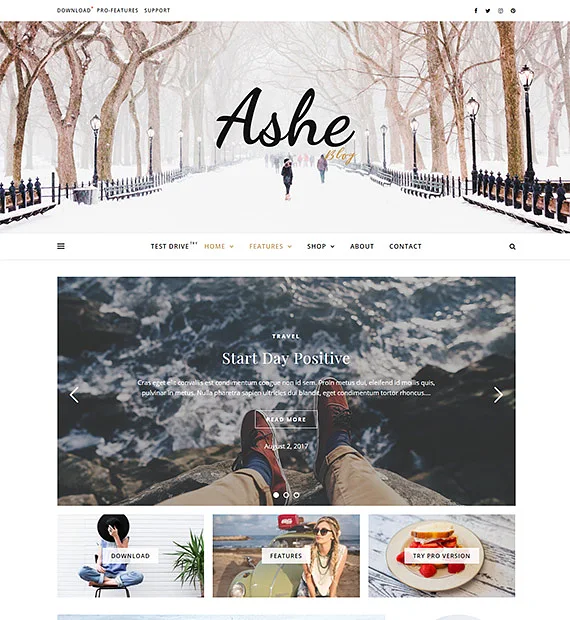 Ashe blog Feminine WordPress theme