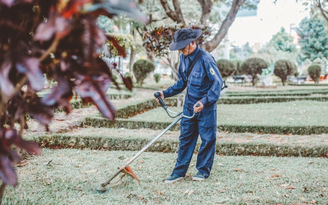 7 Legit Ways Landscapers Can Make Money in the Winter