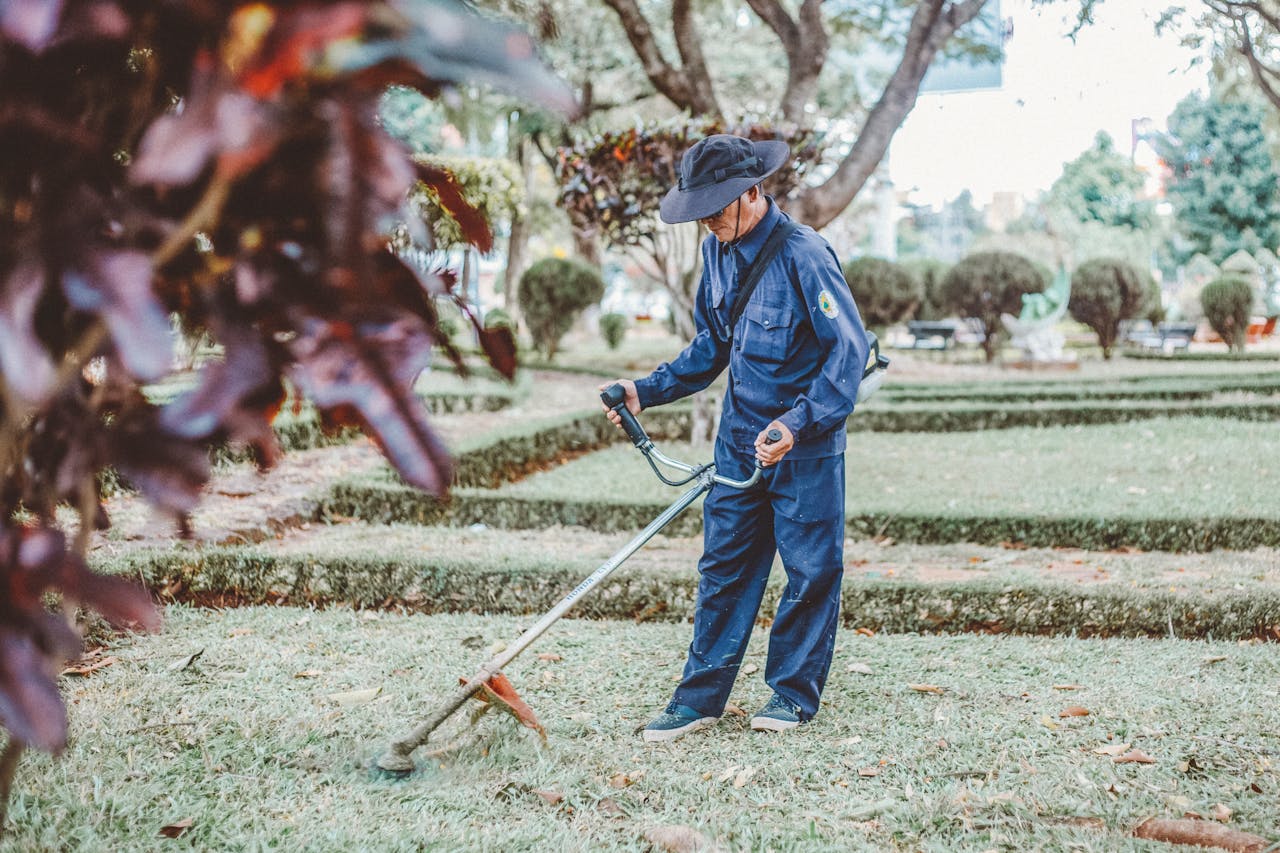 ways landscapers make money in winter